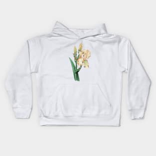 Iris Kids Hoodie